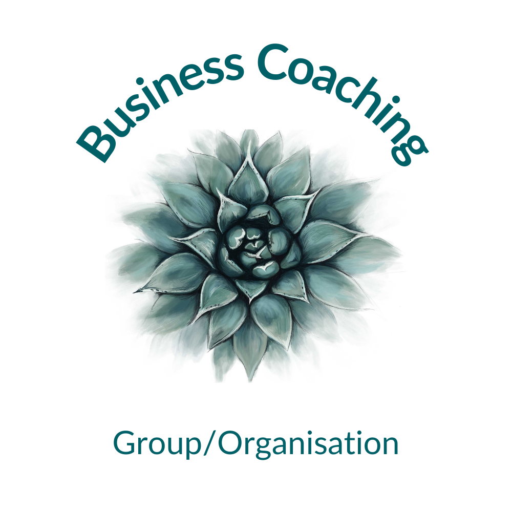 Business Coaching - group/organisation