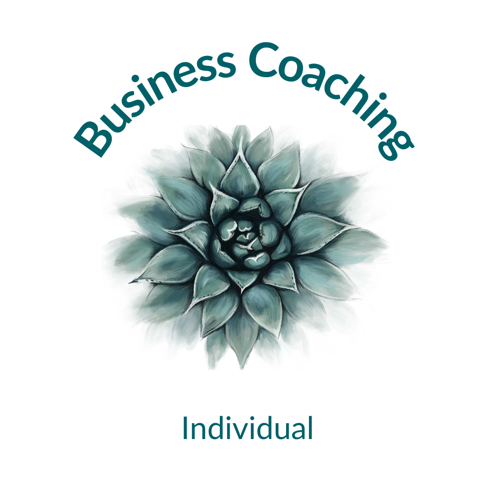 Business Coaching - Individual