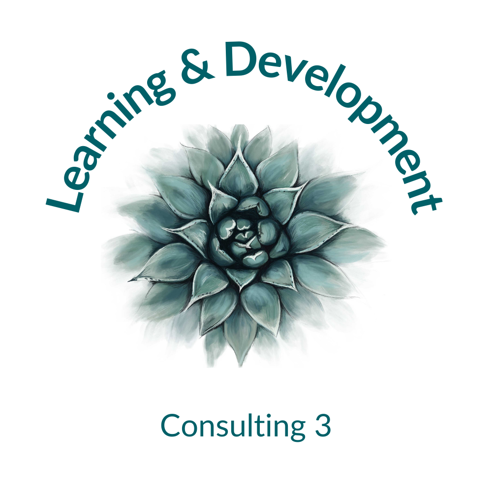 Learning &amp; Development Consulting 3
